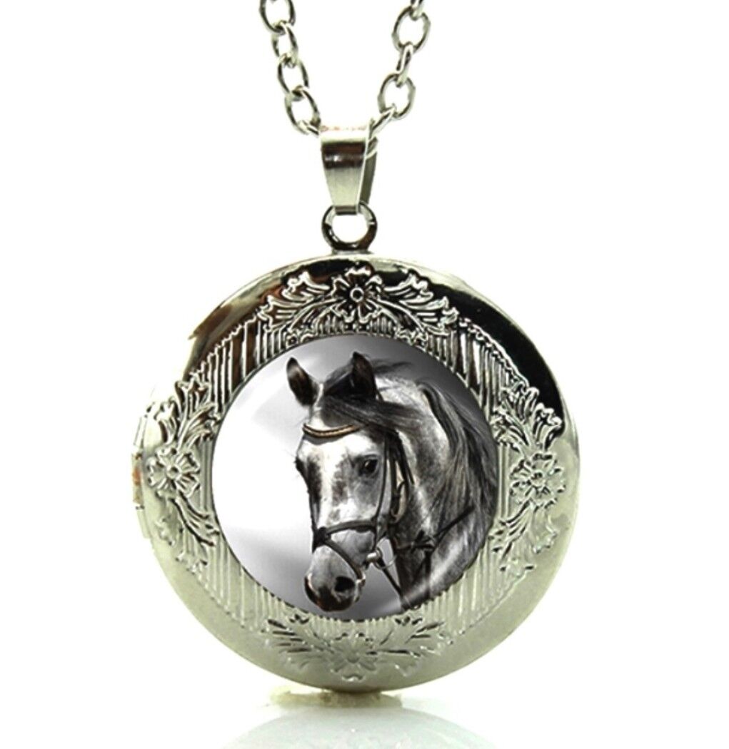 Silver Tone Horse Necklace Locket Glass Cabochon Art Picture in a Gift Box