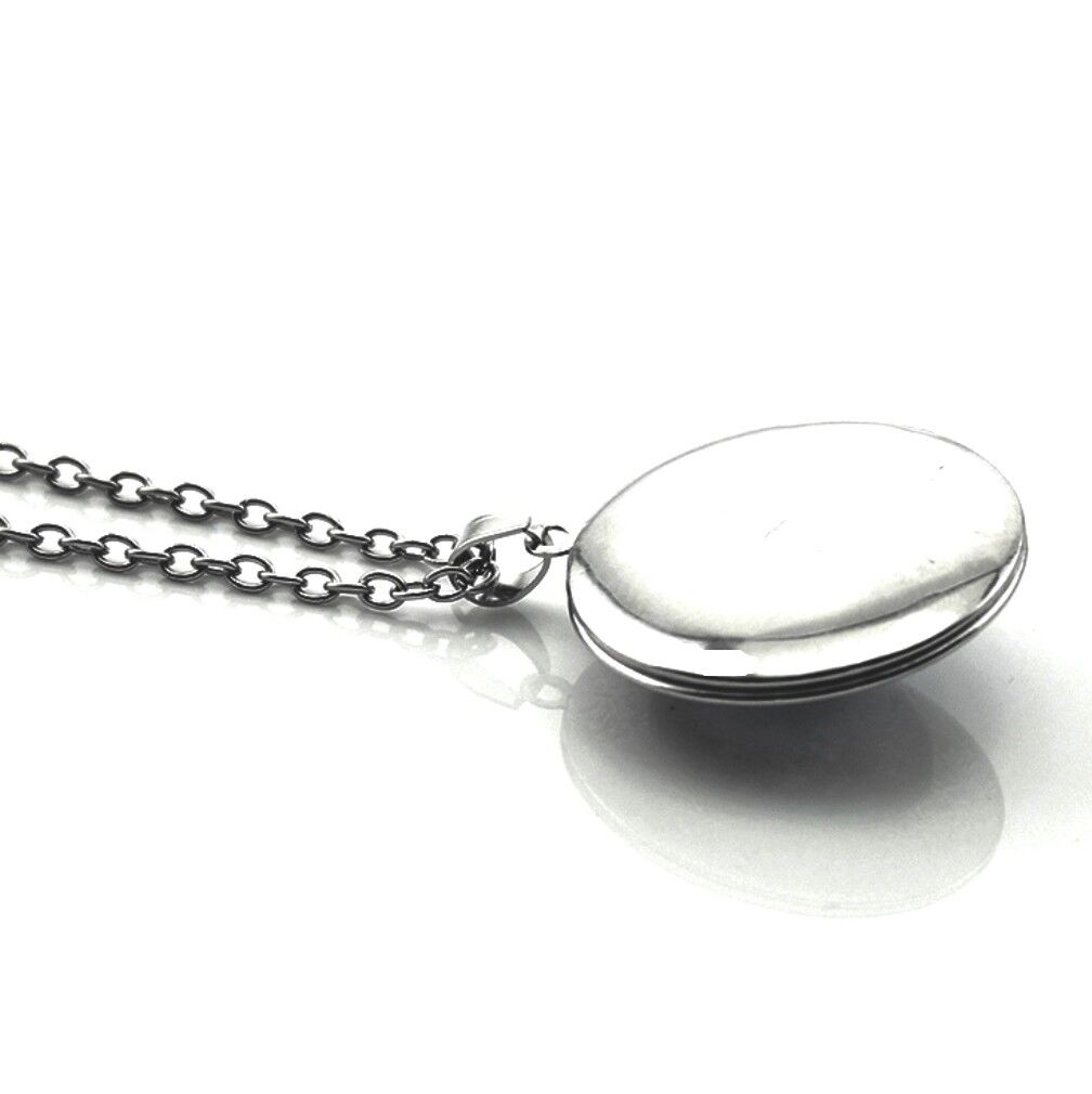 Dragonfly Locket Pendant Necklace on 24" Stainless Steel Chain