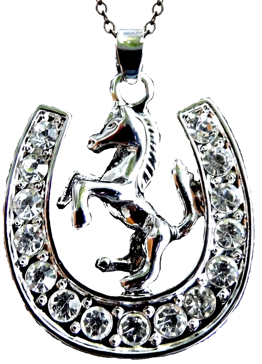 Good Luck Horseshoe Pony Horse Necklace Gift Boxed Fashion Jewelry